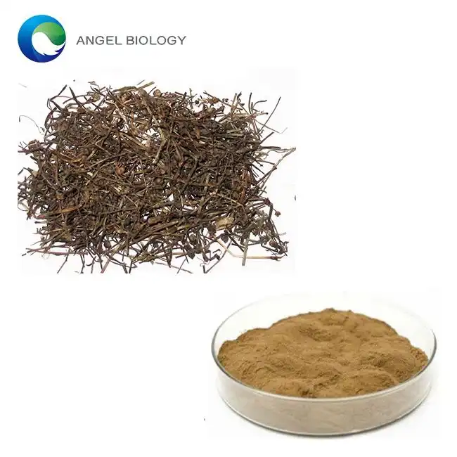 Hedyotis Diffusa Extract Powder